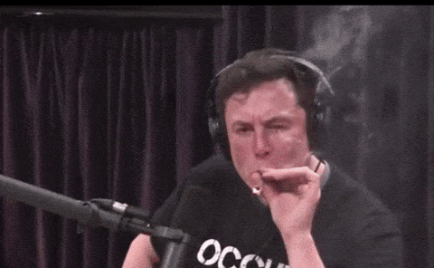 Gif of Elon Musk smoking weed on the Joe Rogan podcast and shrugging
